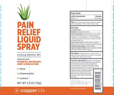 Label (Cl Pain Relief Liquid Spray Label 2.5oz Copy)